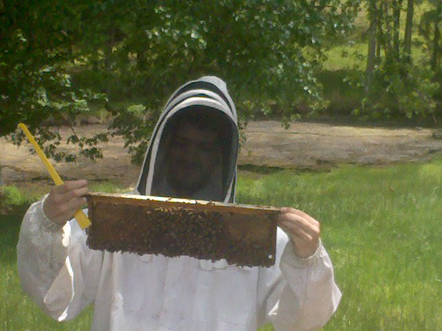 Justin working with bees